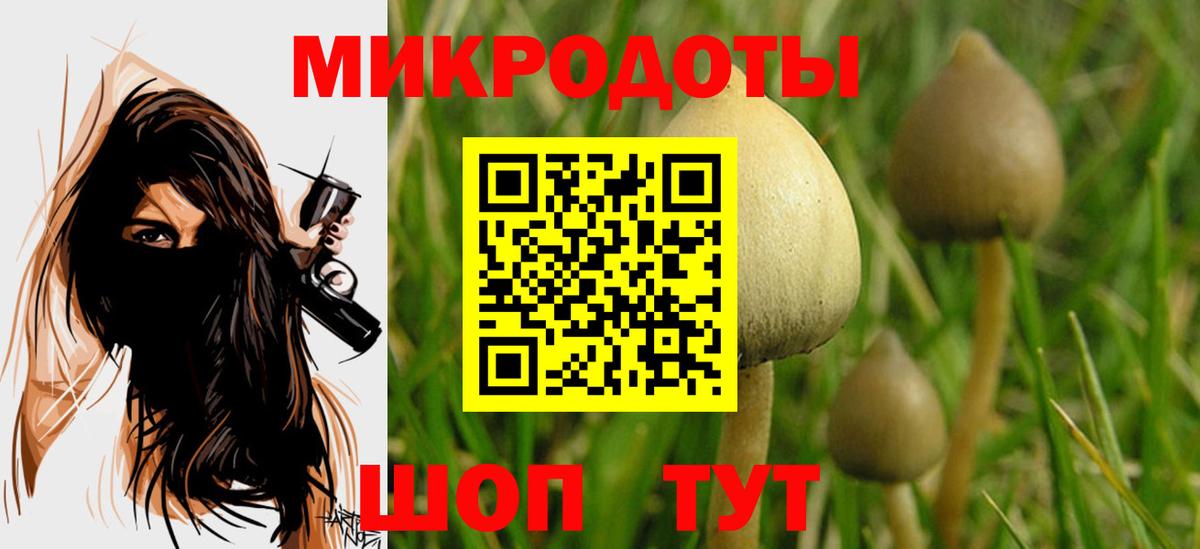 наркота  Галлюциногенные грибы Psilocybe  Вход с VPN  Старый Оскол 